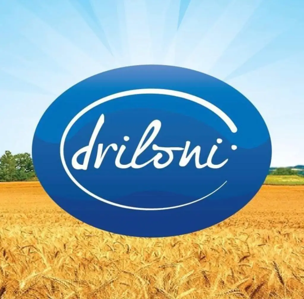 LOGO DRILONI